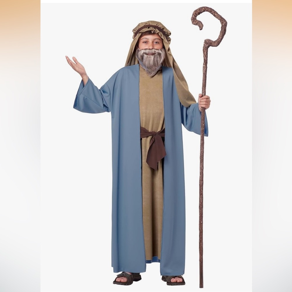 California Costumes Herdsman/Noah Boy Costume Size Small/Medium